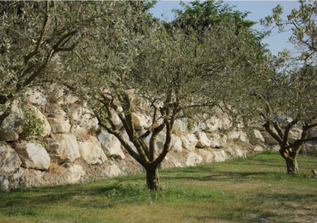 Nos prestations sur le secteur de Nice et les Alpes-Maritimes 06