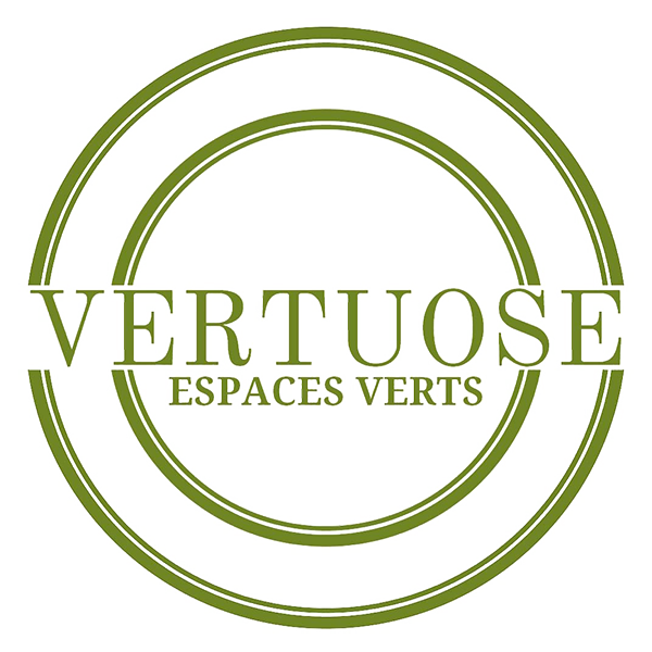 Vertuose Paysage